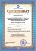 Сертификат участника Всероссийского вебинара "Суицидальное поведение у детей и подростков: факторы риска и профилактика в условиях образовательной организации", 24.08.2017г.